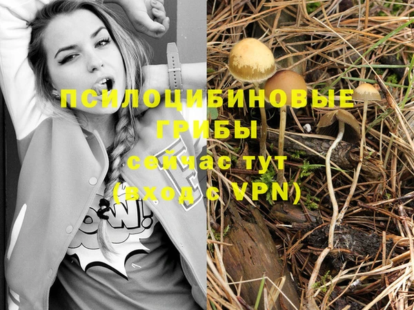 кокс Абдулино