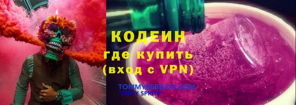 дживик Абаза