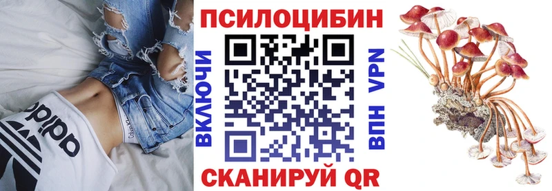 darknet как зайти  Остров  Галлюциногенные грибы Psilocybine cubensis 